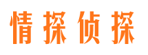 进贤市侦探公司